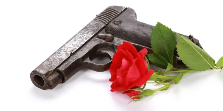 Guns n Roses armas de fogo