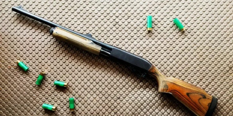 Potência, versatilidade e tradição em uma das armas mais populares do mundo